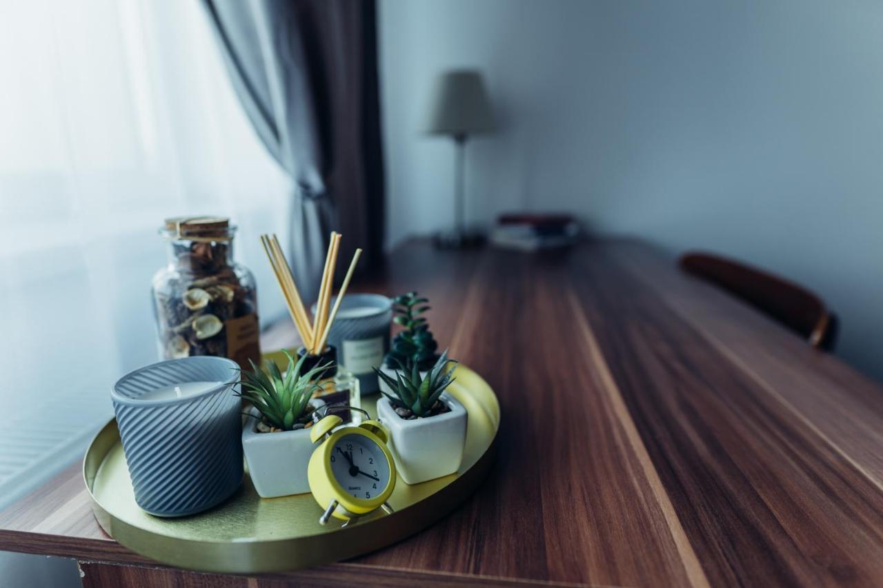 Thome Hoia Studio 1Bedroom Kolozsvár Kültér fotó