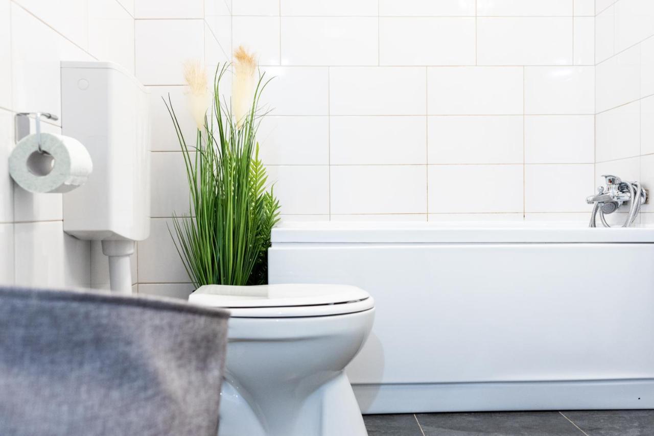 Thome Hoia Studio 1Bedroom Kolozsvár Kültér fotó